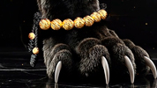 Promo Pulsera